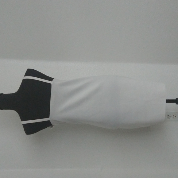 Zara Dress - Picture 2 of 3